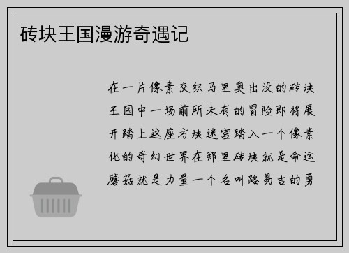 砖块王国漫游奇遇记
